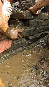 Best Traditional Village Fishing Video From Under The Bridge #fish #fishing #fishinglife #nature #village | Local Fishing Videos