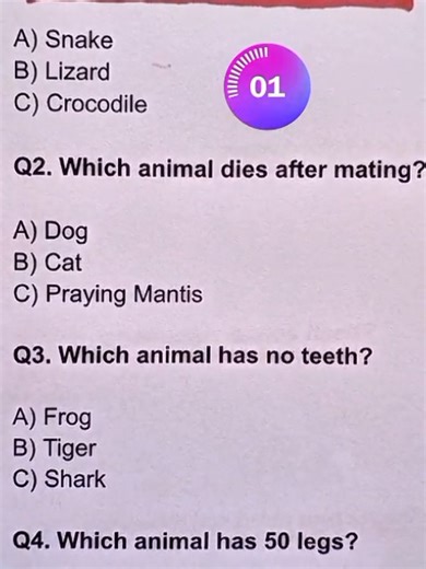 Challenge Yourself with This Anatomy Quiz