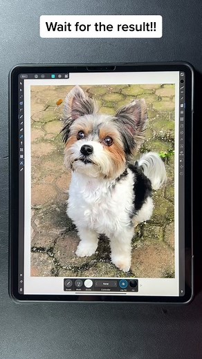 How I make pet portraits ❤️ #digitalart #petlover