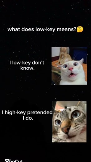 what's low-key means?#memes