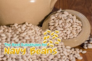 6 Best Substitutes for Navy Beans (Updated 2025)