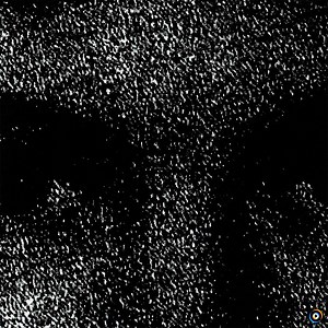 Poison Tree by Grouper