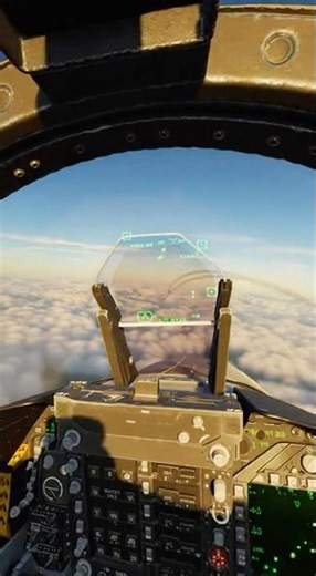 I experienced an enemy fighter plan view 💀