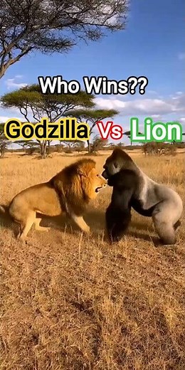 Lion vs Godzilla ⚔️ EPIC Wilderness Battle Caught on Camera #shorts