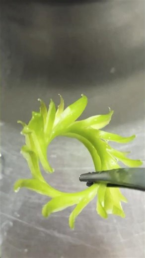 Spring onion garnish | How to make garnish #garnish #shortvideos #ytshorts