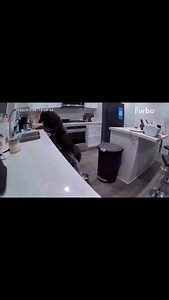 Forgot I left the container out after putting their dinner together, it did not take them long - #gsdmix #wolfdogofinstagram #huskyreels #huskylifestyle #huskyfam | Sassy Huskies