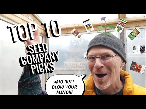 Where To Buy The Best Seeds For Your Garden - Organic, Rare, Non-GMO Seeds