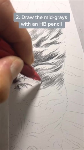 Mastering Fur Texture Drawing: Tips and Techniques