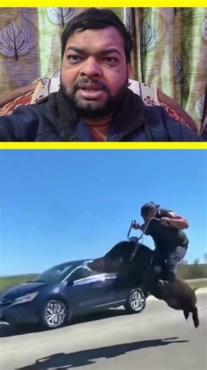 “Sitting High, Bro Created Total Chaos 😂 | Unexpected Fun Moment”