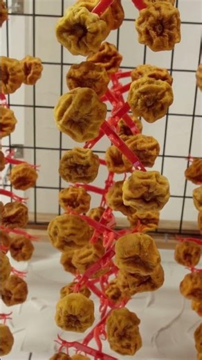 Persimmons - The Fruit Nerd Presents: Field To Feast - Now on CTV+