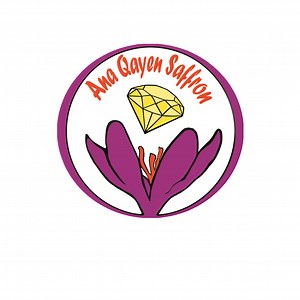 All About Saffron Seeds For Planting   Saffron Seeds Price