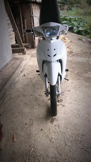 Video của Mug Zoo Koj (@mug.zoo.koj2) với bản nhạc nhạc nền - 𝙣.𝘿𝙪𝙤𝙣𝙜