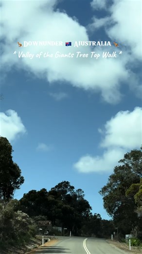 🦘Downunder 🇦🇺 Australia 🦘 The Valley of the Giants Tree Top Walk is a remarkable attraction in Western Australia’s Walpole-Nornalup National Park. It offers visitors the chance to walk among the towering canopy of ancient tingle trees, some over 400 years old. The 600-meter-long walkway, suspended 40 meters above the forest floor, provides breathtaking views of the surrounding wilderness. This eco-friendly experience allows you to immerse yourself in the beauty of the forest while learning a