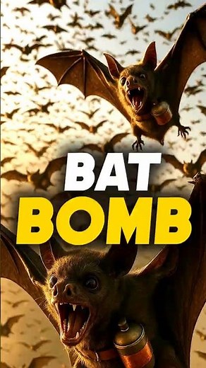 The Napalm Bat Bombs of WW2