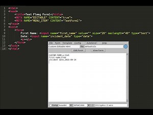 1 - FLMSG Basics of Custom HTML Forms