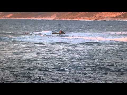 Superposition of water waves