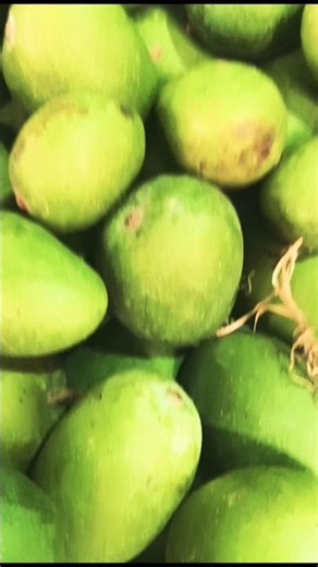 Major medicinal properties and benefits of raw mango.