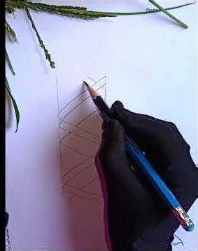 DNA Structure Diagram Step by Step | Biology |biosketch bd