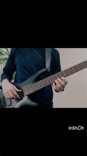 The Blues Sessions #5 #basssolo #bassblues #bassguitar #bassgroove #bassimprovisation #musician