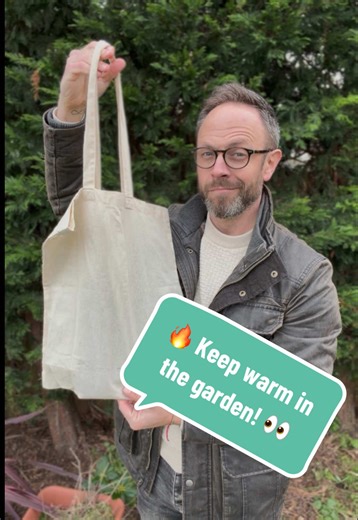 Gardening Tips: A Game Changer for Your Allotment