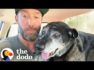 The Happiest Dog Rescue Stories | The Dodo