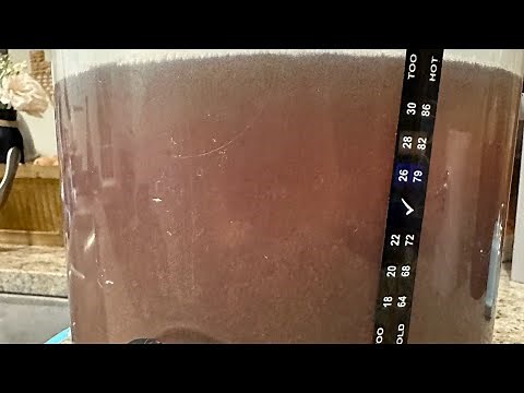 How to Brew: Brew Demon Beer Kit | IPA Fermentation