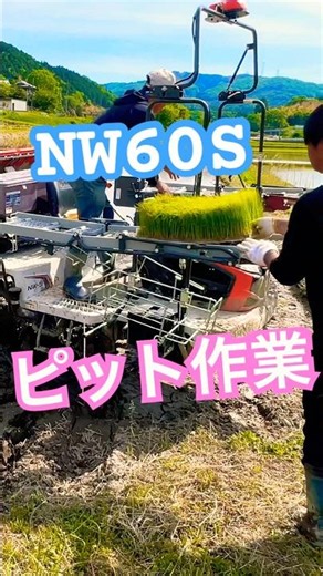 Kubota NW60S GS 田植え機 田植え作業#farming #現代農業 #automobile #kubota