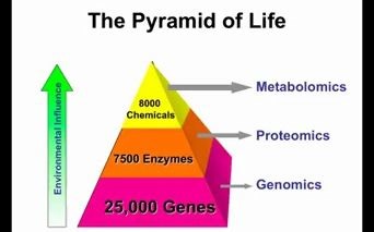 Introduction to Metabolomics