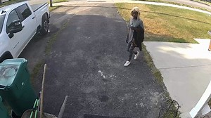 137K views · 110 reactions | Greece Police Department, New York on Reels | Facebook