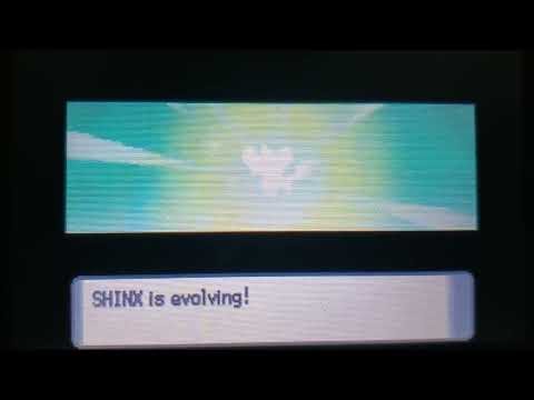Shinx Evolution