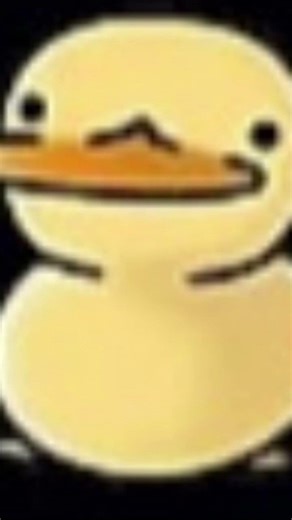 Day twelve of posting a random photo from my camera roll