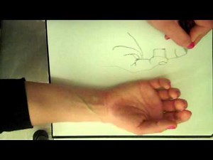 Basic contour line drawing of the hand.