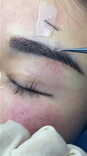 #eyebrowtransplant #microblading #eyebrowmakeup #beautyblogger #browstylist #featherbrows