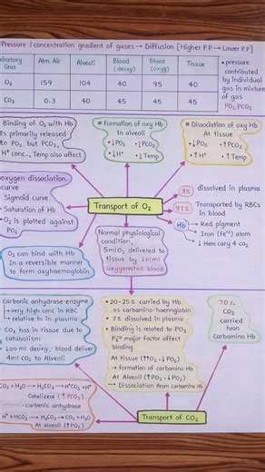 NEET Biology Breathing and exchange of gases short notes.