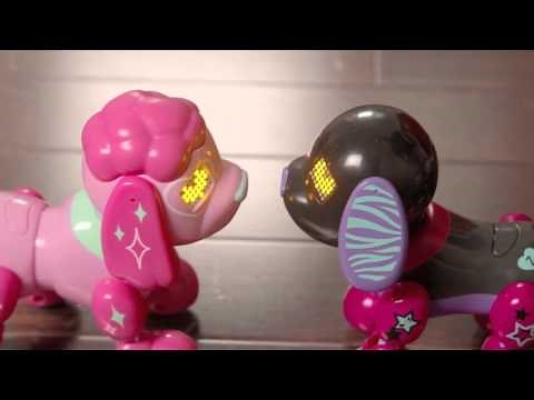 Zoomer | Zoomer Zuppies Zuppy Love | Socializing