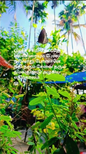 en neelothi #trendingsong28.5K#viral#viralreels#always#follow