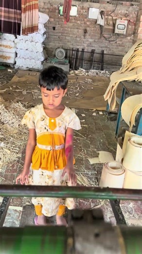 Making ice cream sticks
