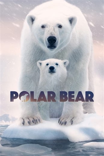 Stream Polar Bear (2022): Find it on Netflix, Prime Video, Hulu & more
