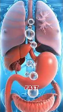 Stop Eating Fast! Here’s What It Does to Your Body 😳🍽️#healthawareness #facts #learnonyt #education