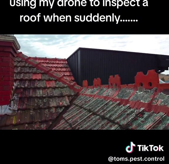 #pestcontroller #pestcontrollife #pestcontrolservice #pestcontrol #pest