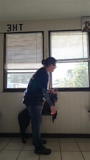 1.5K views · 25 reactions | I had sometime to work with getting Zion use to the nail grinder this afternoon. Prior to this session she'd try to bite me or/and the grinder. So it was nice to have the time to work with her on it. | Felicia Bruno | Facebook