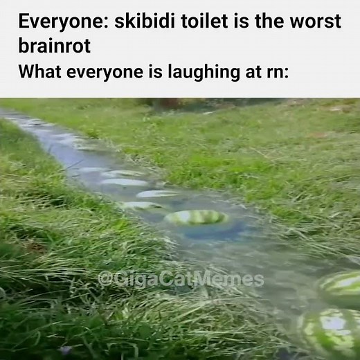 watermelon river 🍉