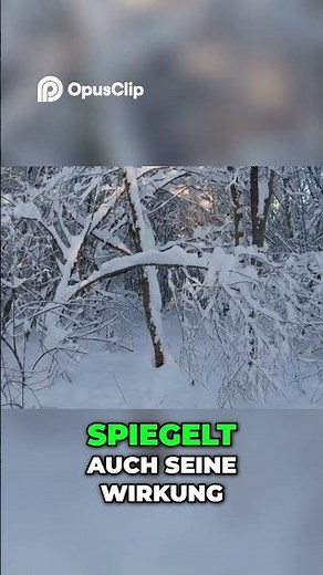 Meerrettich: Kraftvolle Heilkraft direkt vor deiner Tür!