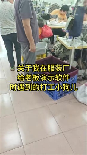 服装厂用“服饰好帮手” 扫码计件软件 #扫码计件软件
