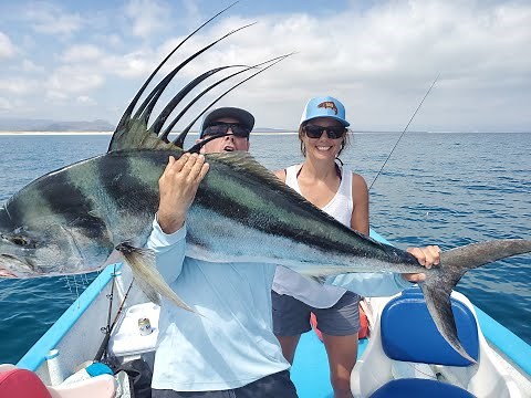 Baja Fly Fishing Action // Gear Dump and Tips for Success on Roosterfish, Dorado, Jacks