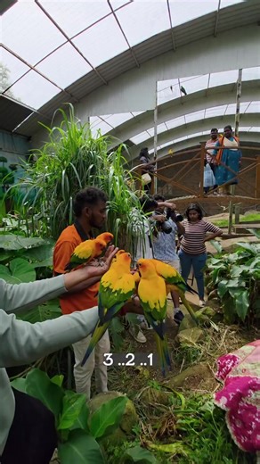 Explore the Beautiful Devika Collections in Tamil Nadu