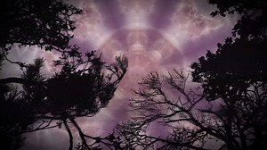 20K views · 206 reactions | Watch the video for "Kobe" from Bossk's...