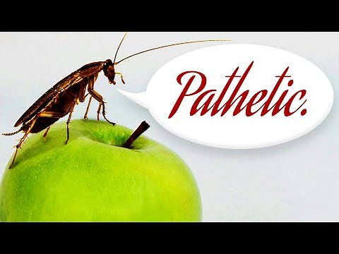 [ASMR] SCP-8595: "Everyone's a Critic" - A Binaural SCP Reading