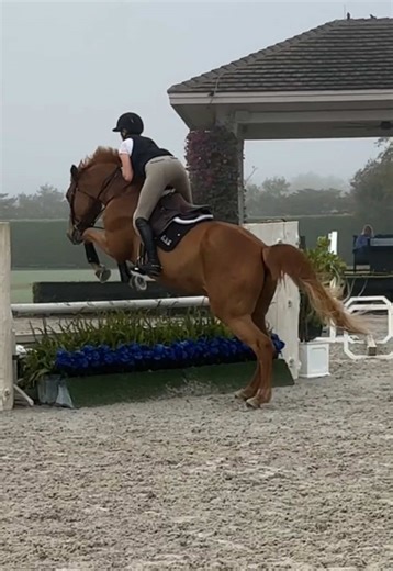 Foggy lesson with princess yesterday 🧡