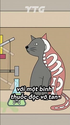 CON MÈO CỦA SCHRÖDINGER #shorts #yugioh